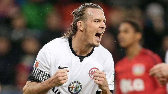 斑马王子 斑马王子